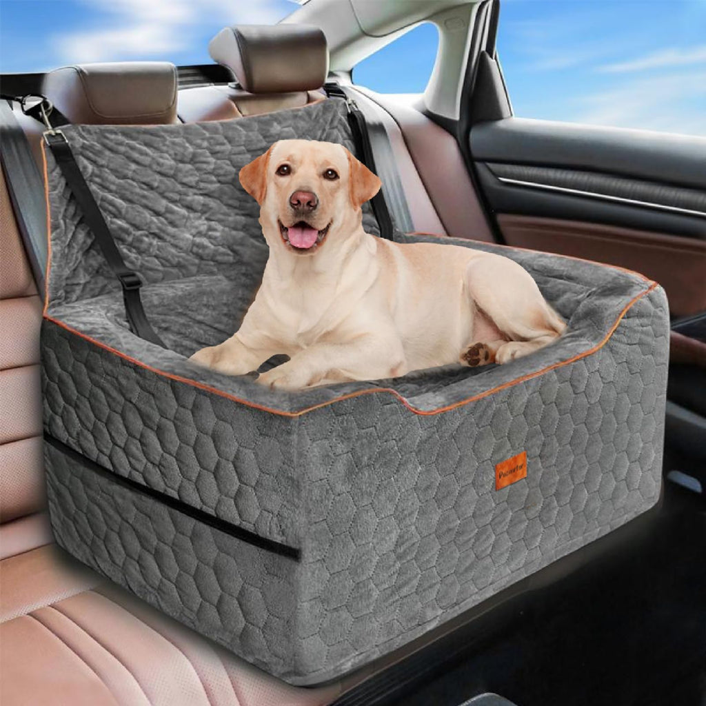 Dog sitting on a gray car seat cover in a vehicle with a blue sky background
