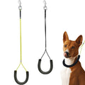 Two dog leashes with U-shaped handles and a dog wearing one of the leashes on a white background.