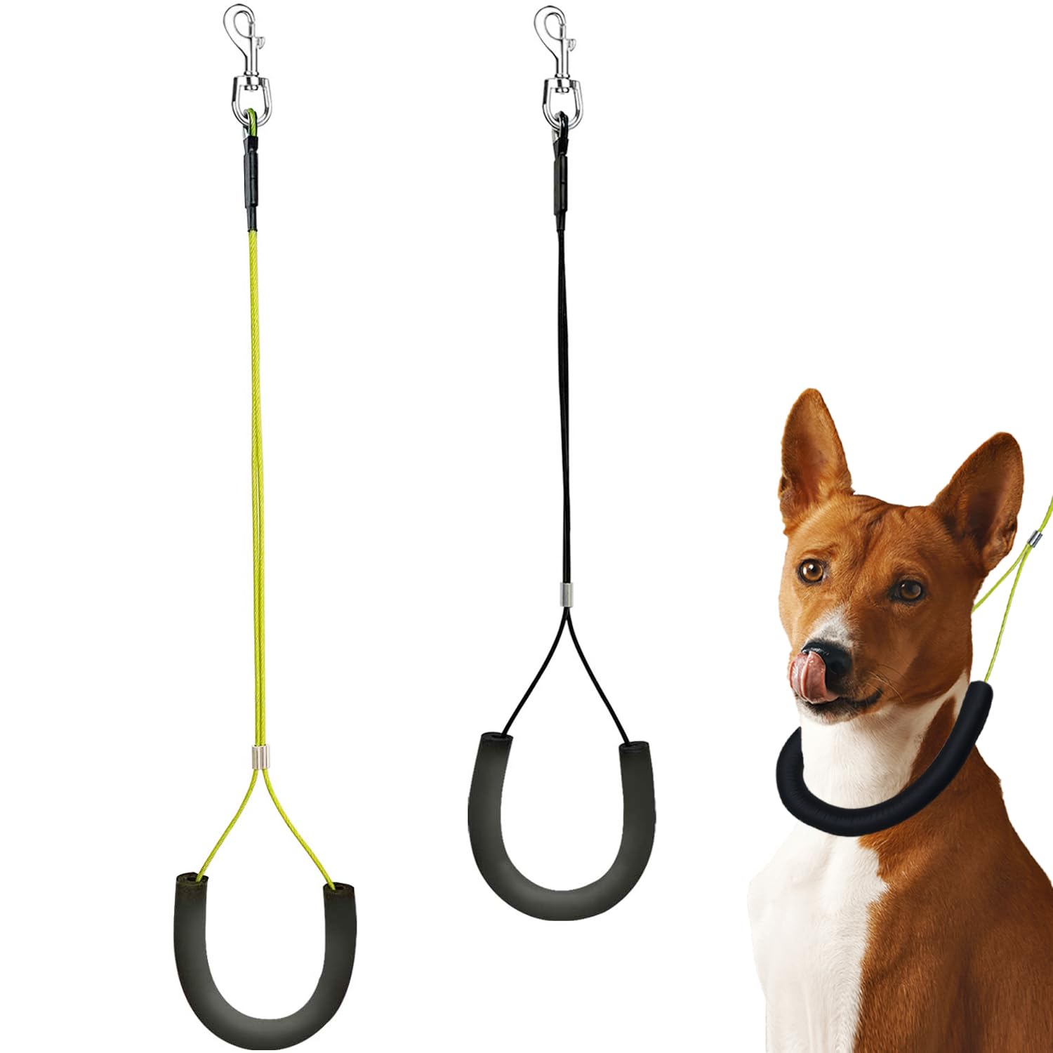Two dog leashes with U-shaped handles and a dog wearing one of the leashes on a white background.