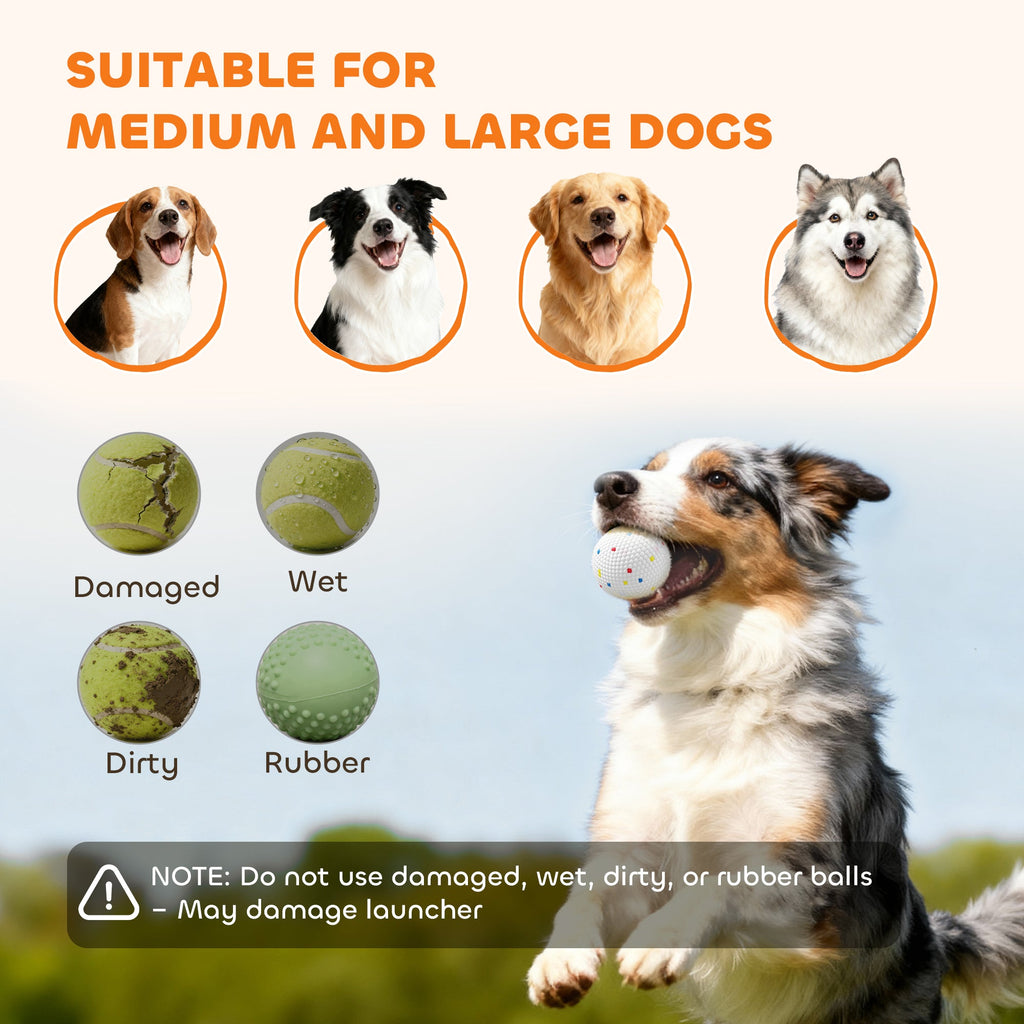 Dog playing with a ball, surrounded by images of dogs and ball conditions, with text indicating suitability for medium and large dogs.