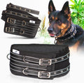 Black dog harness with metal buckles displayed with a dog in the background