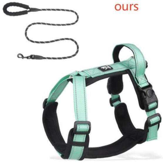Mint green dog harness with black straps and a leash on a white background