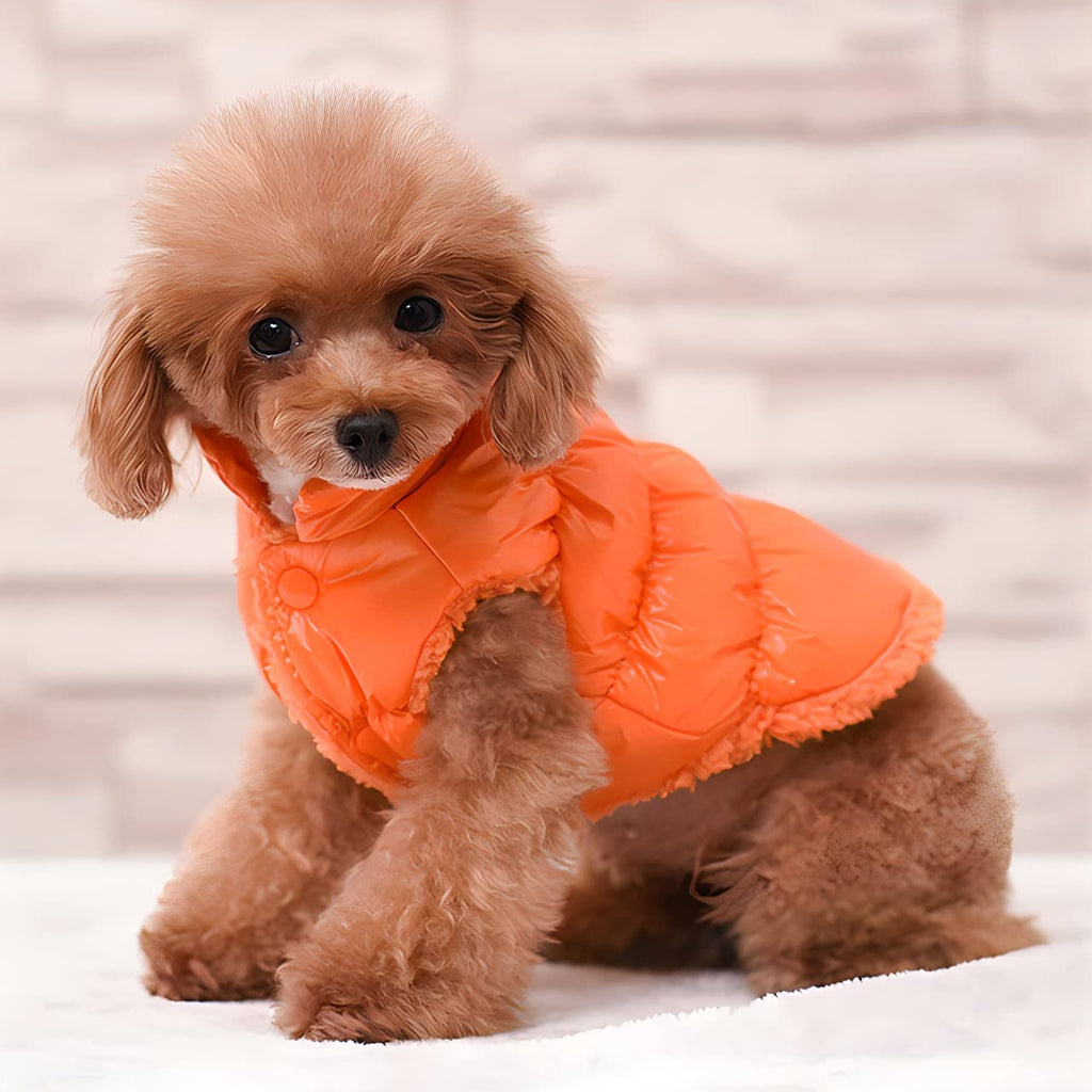Pawsinside Quilted Fleece Puffer Vest for Dogs & Cats
