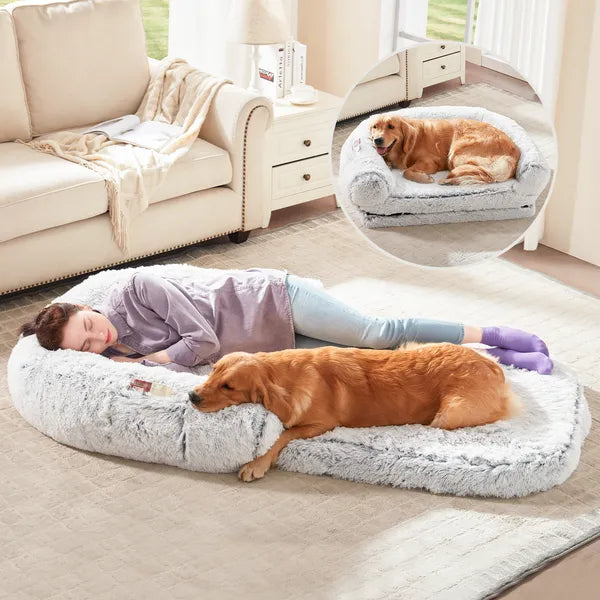 Person lying on a fluffy pet bed with a dog, in a living room setting.