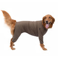Dog wearing a brown onesie on a white background