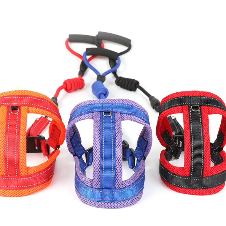 Three colorful dog harnesses on a white background