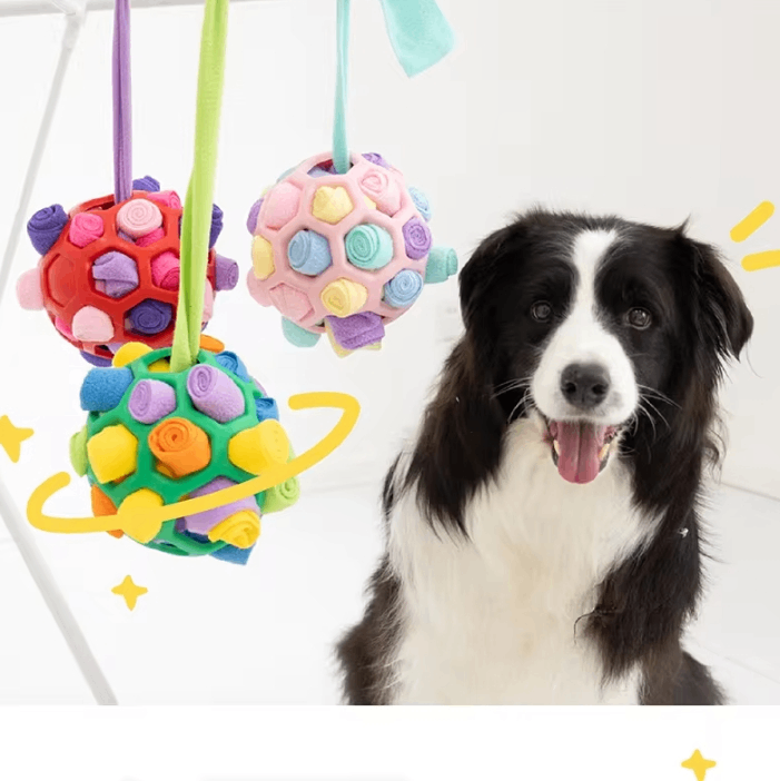 Dog with colorful hanging dog toys on a white background