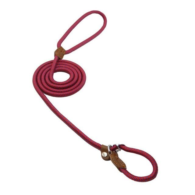 Nylon & PU Leather Dog Collar & Leash Set