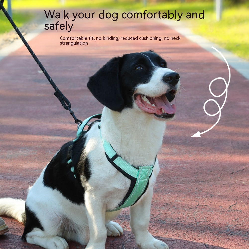 Dog wearing a green harness sitting on a path with text about comfort and safety.