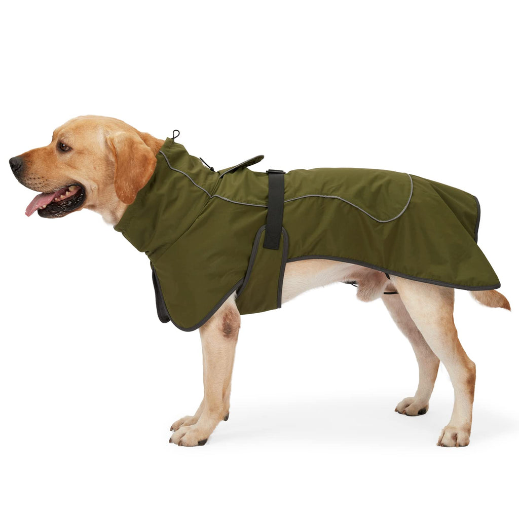 Dog wearing a green raincoat on a white background