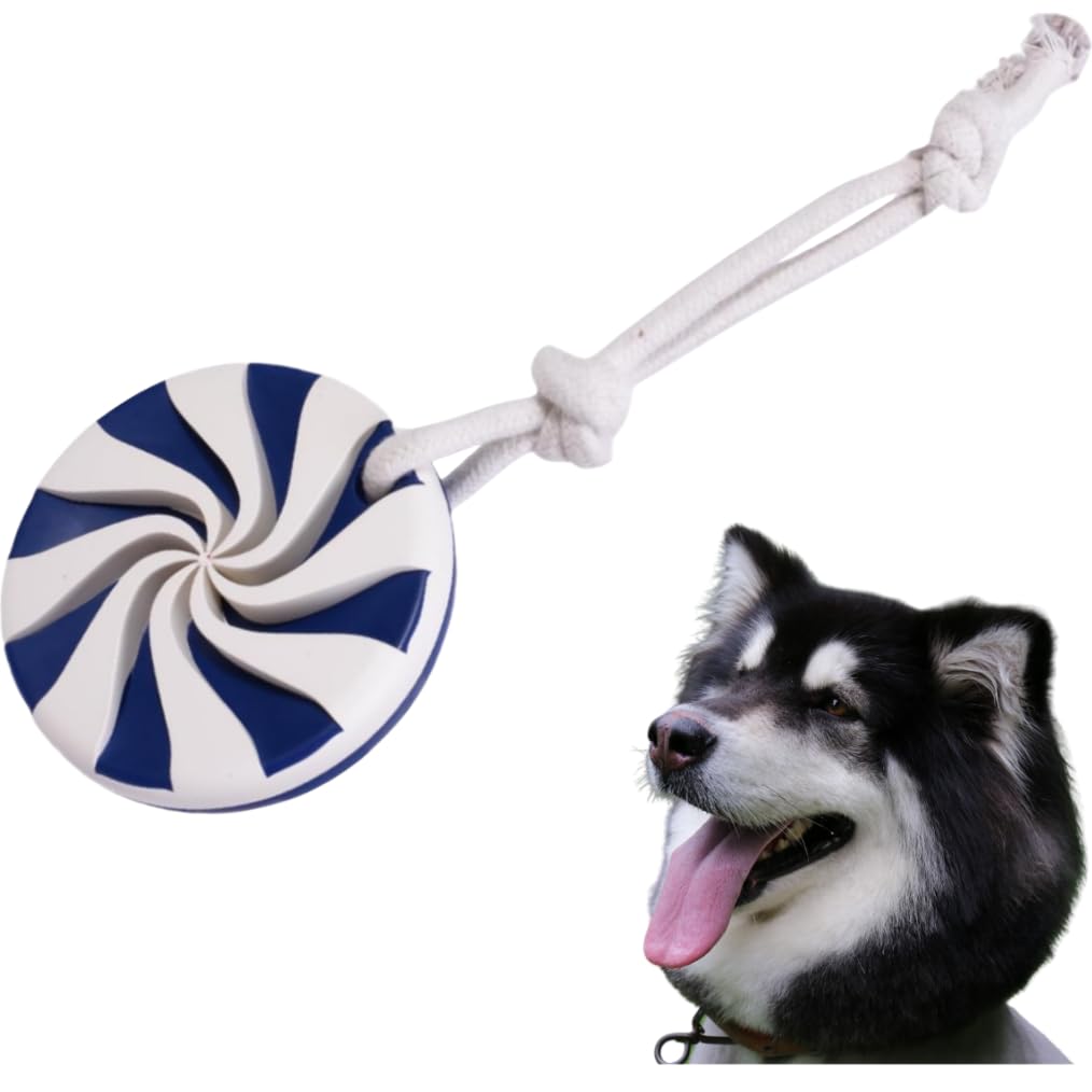 Dog toy with blue and white swirl design next to a dog on a white background
