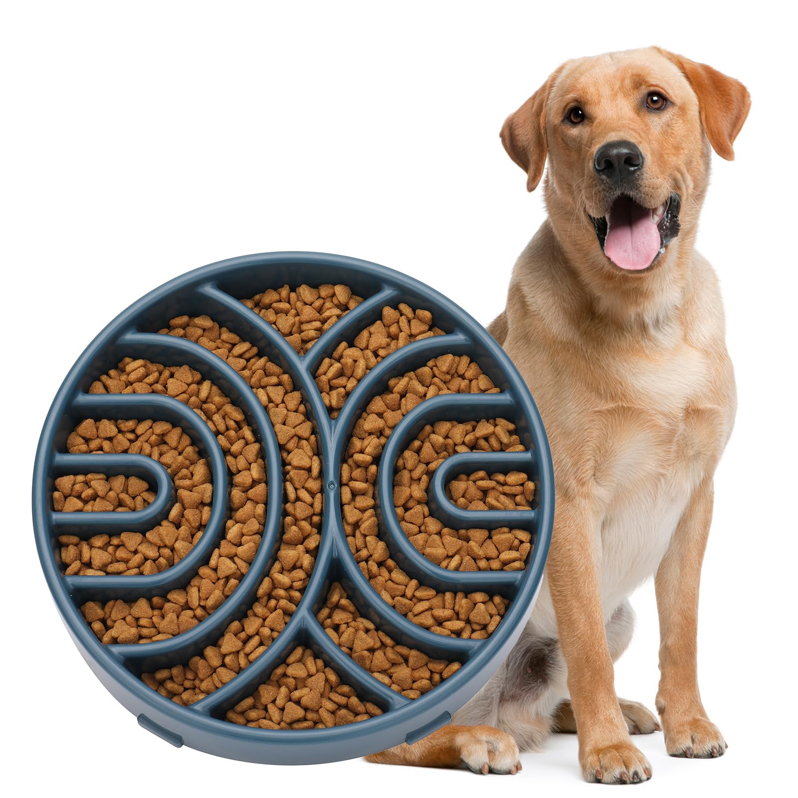 Dog with a bowl of kibble on a white background