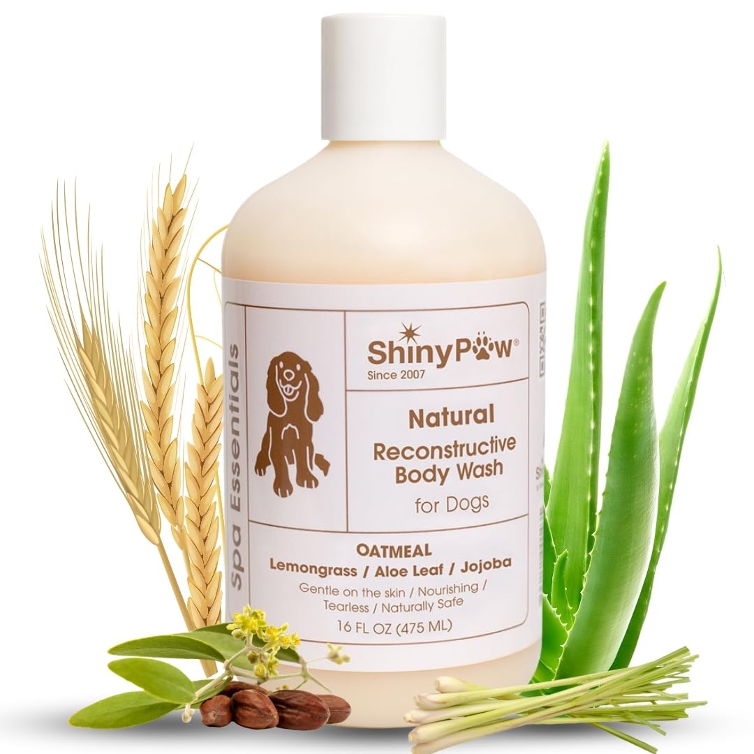 Shiny Paw natural reconstructive body wash for dogs with aloe vera and wheat on a white background