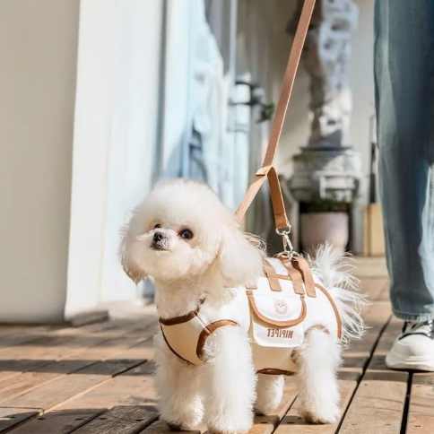 Small white dog wearing a beige harness and leash with a matching bag on a wooden floor.