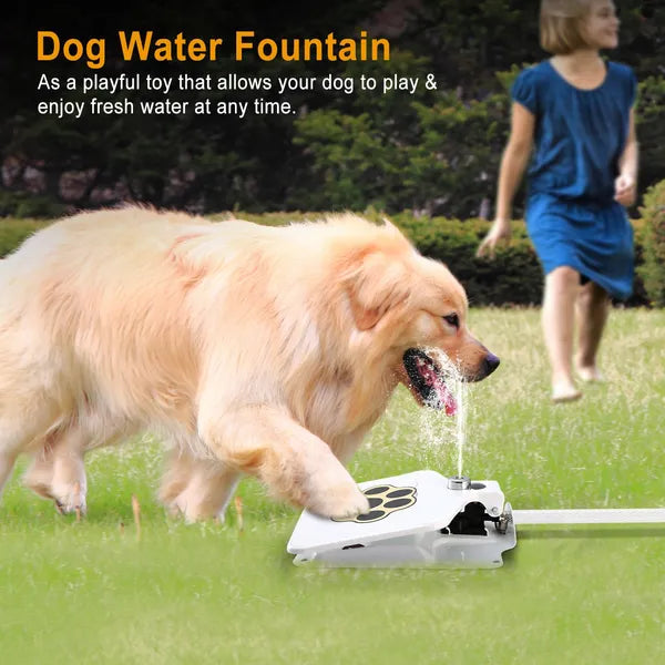 Dog playing with a water fountain on grass, with text describing its use.