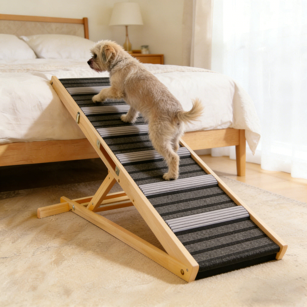 Dog using a pet ramp to climb onto a bed in a bedroom setting