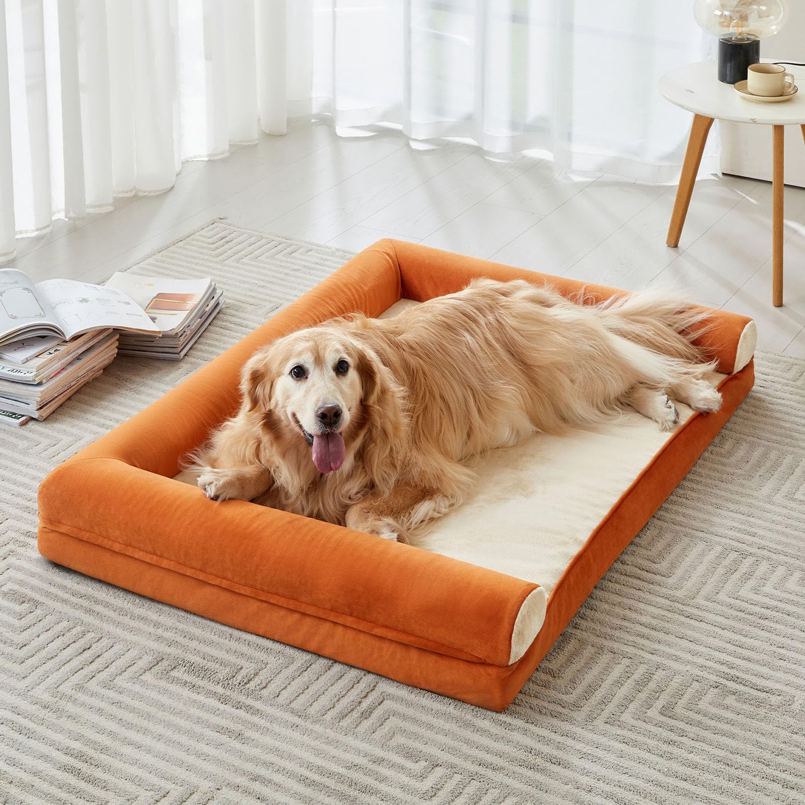 Dog lying on an orange cushioned dog bed in a bright room.