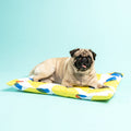Pug sitting on a colorful pet bed against a light blue background