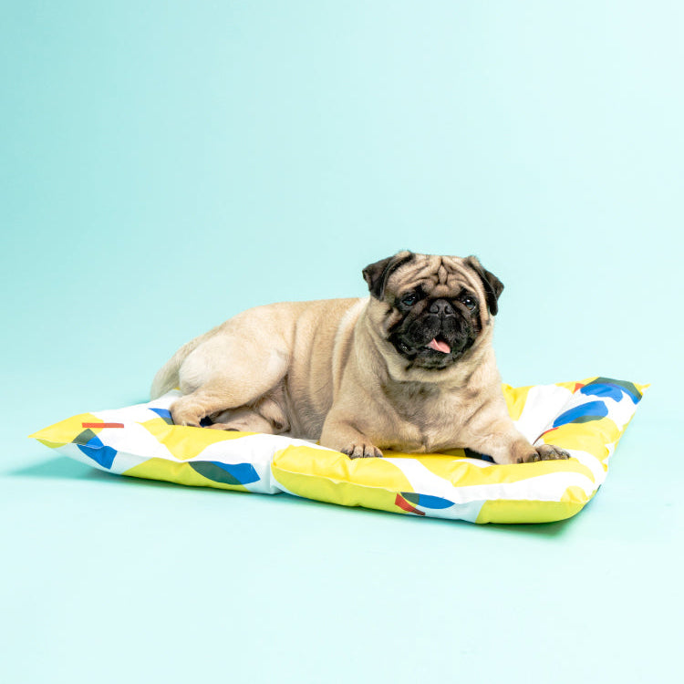 Pug sitting on a colorful pet bed against a light blue background