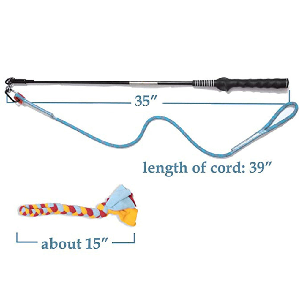 Interactive Pet Teaser Wand Toy for Cats & Dogs