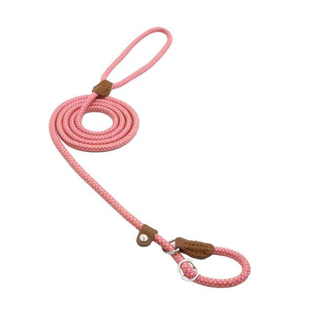 Nylon & PU Leather Dog Collar & Leash Set