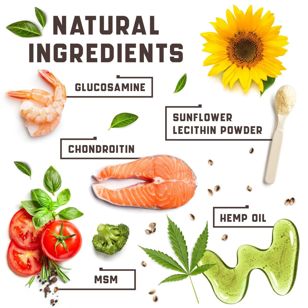 Illustration of natural ingredients including shrimp, sunflower, salmon, tomatoes, broccoli, hemp oil, and MSM with labels on a white background.