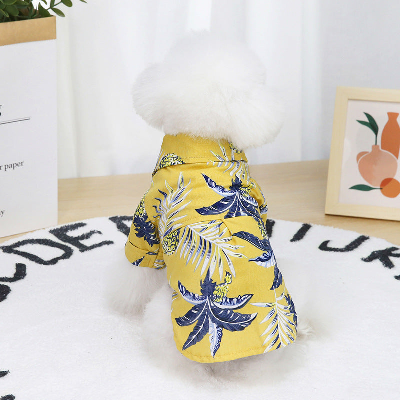 Dog wearing a yellow coat with blue leaf pattern on a white surface