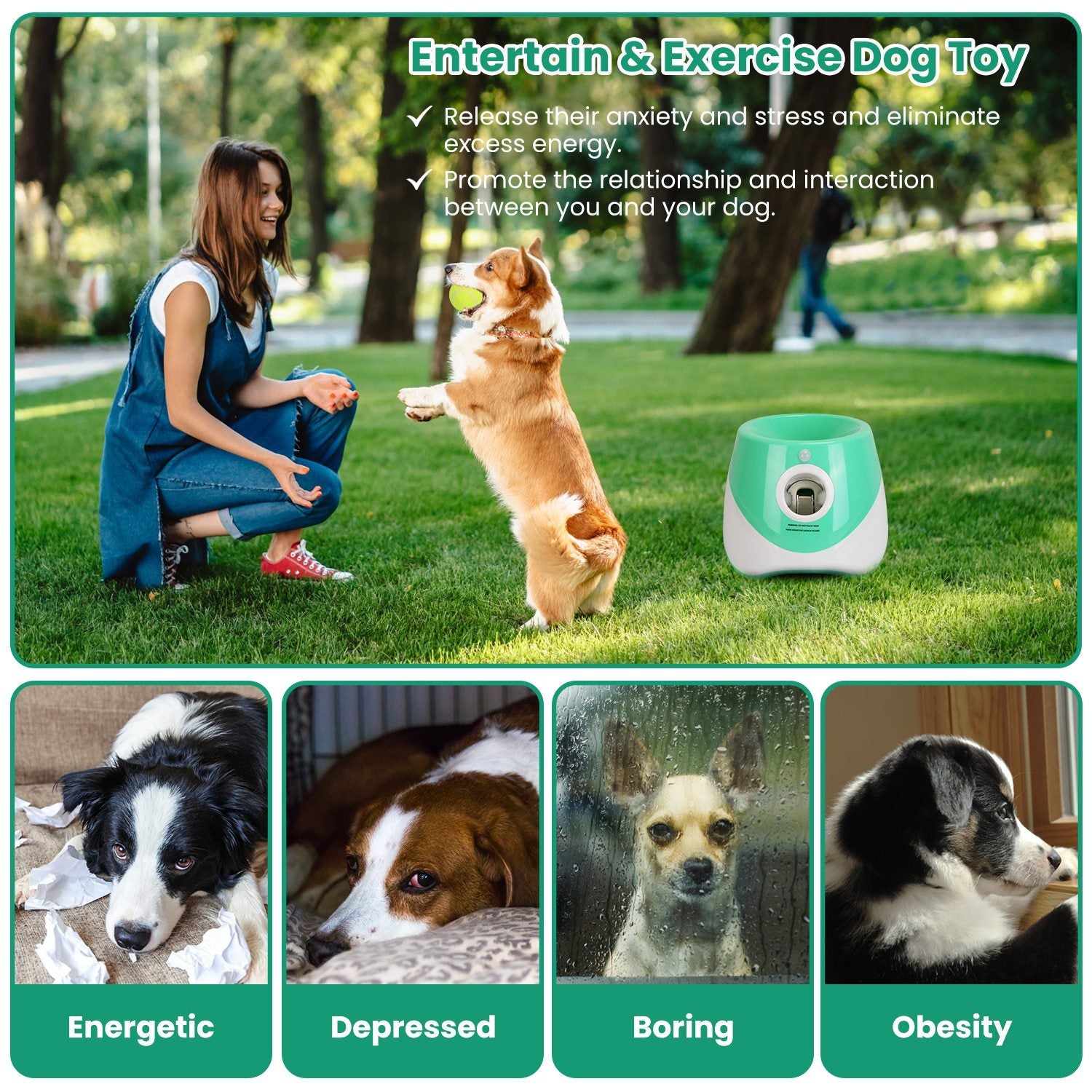 Woman playing fetch with a dog in a park, with a toy dispenser and images of dogs in different moods.