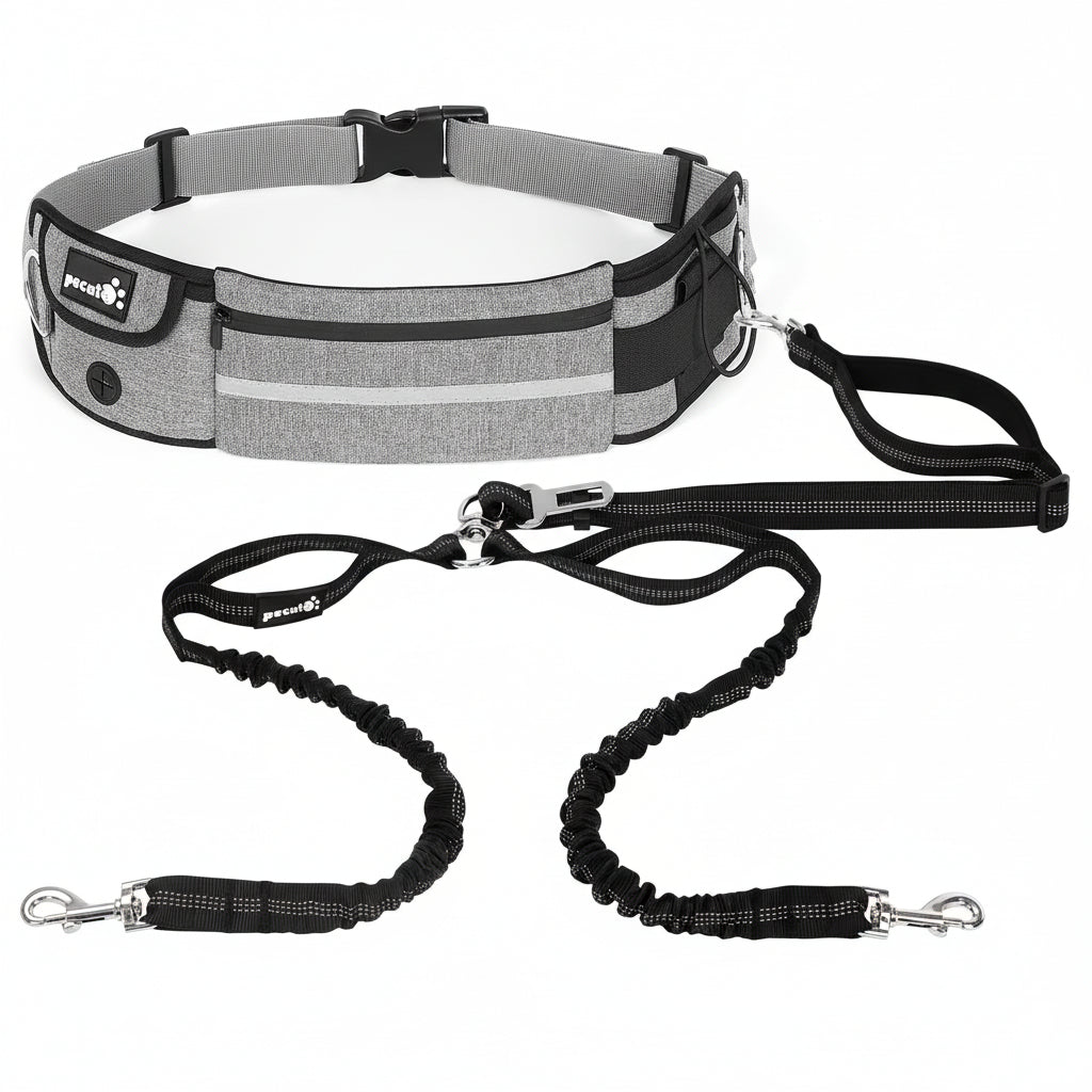 Dog walking belt with bungee leash on a white background