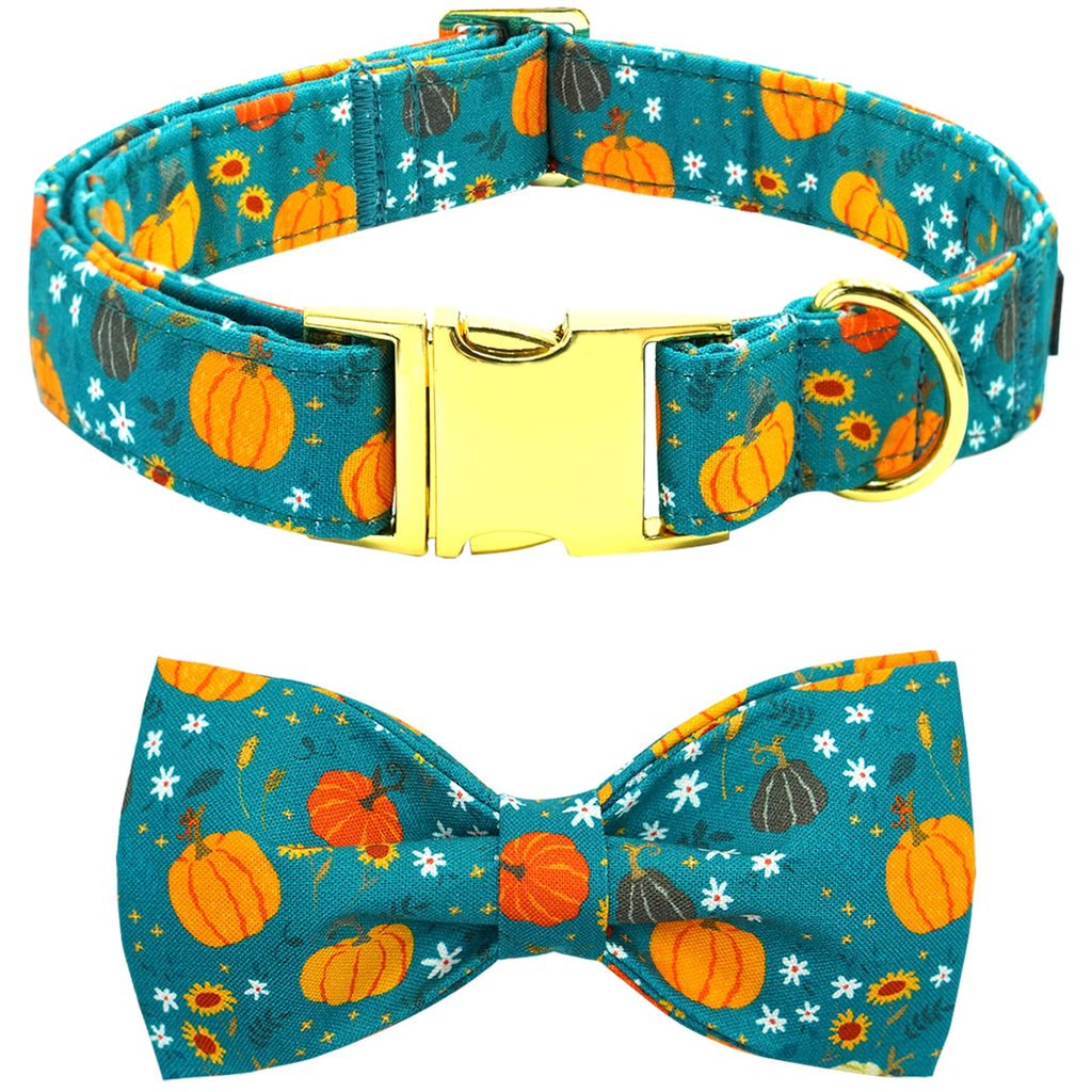 Dog collar and bow tie set with pumpkin pattern on a blue background