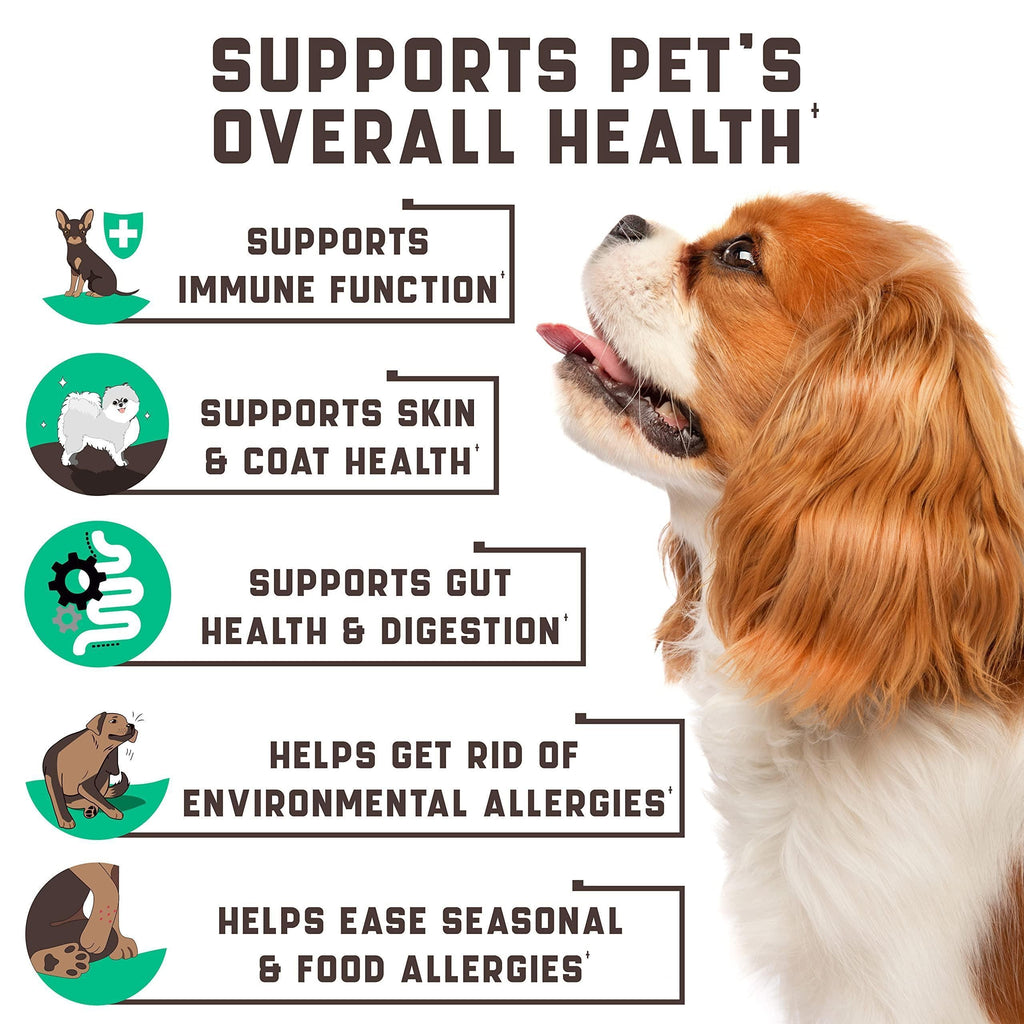 Dog with health benefits listed on a white background