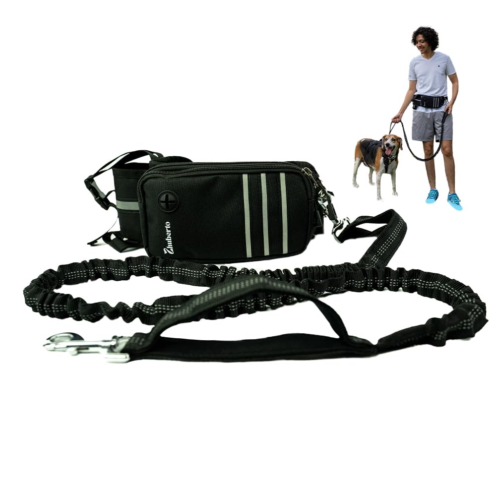 Black dog leash with attached pouch on a white background