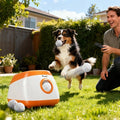 Dog playing with a remote-controlled ball machine in a backyard