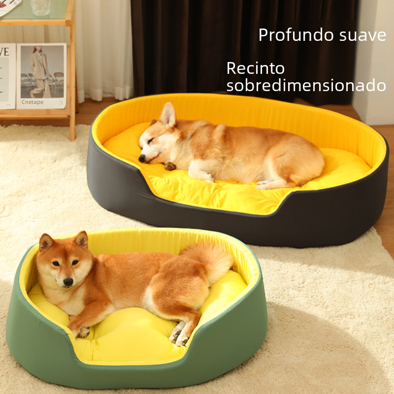 Two dogs on oversized pet beds with a text overlay in Spanish.