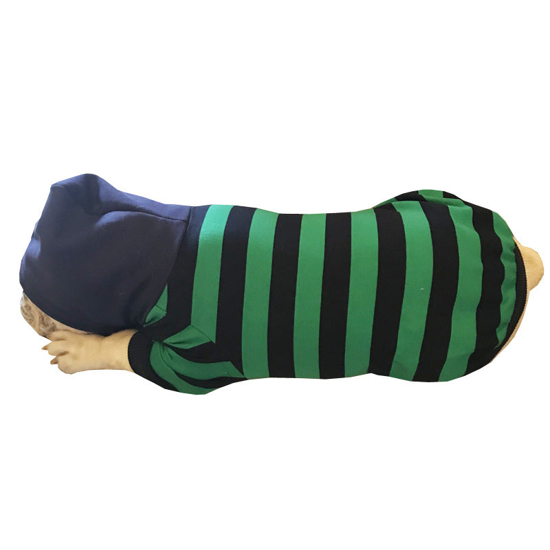Dog coat with black and green stripes on a mannequin against a white background