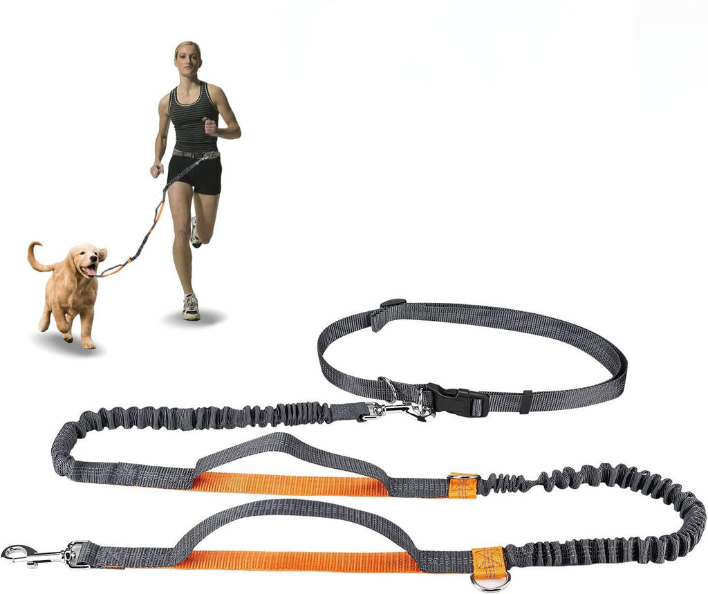Hands-Free Retractable Dog Leash with Dual Bungees & Waist Belt