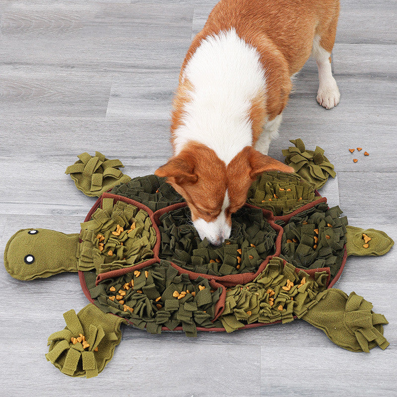 Dog playing with a turtle-shaped green toy on a wooden floor.