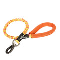 Dog leash with colorful handle and black clip on a white background