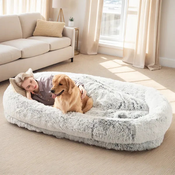Woman lying on a fluffy pet bed with a dog in a cozy living room.