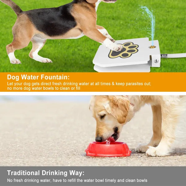 Dog water fountain with dogs drinking water and text explaining its benefits.