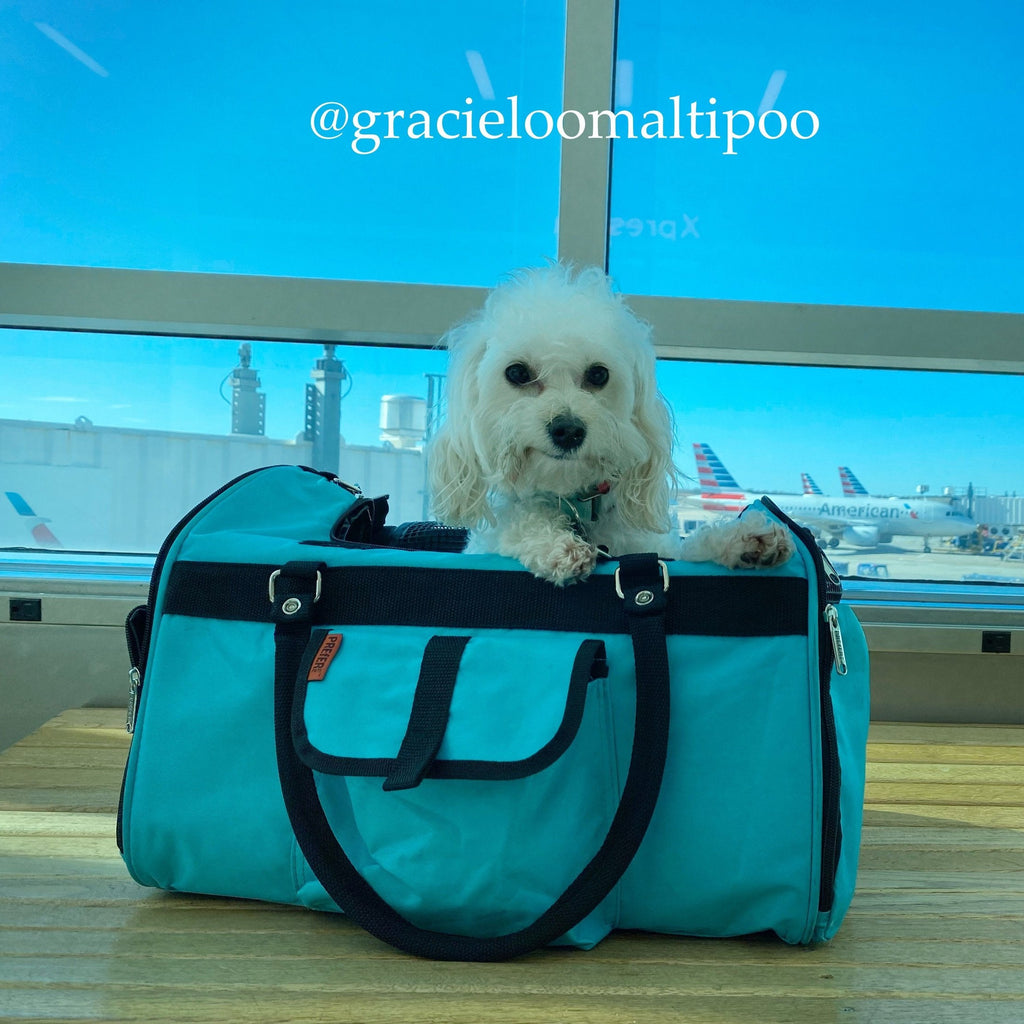 Hideaway Duffel Pet Carrier