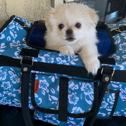 Hideaway Duffel Pet Carrier