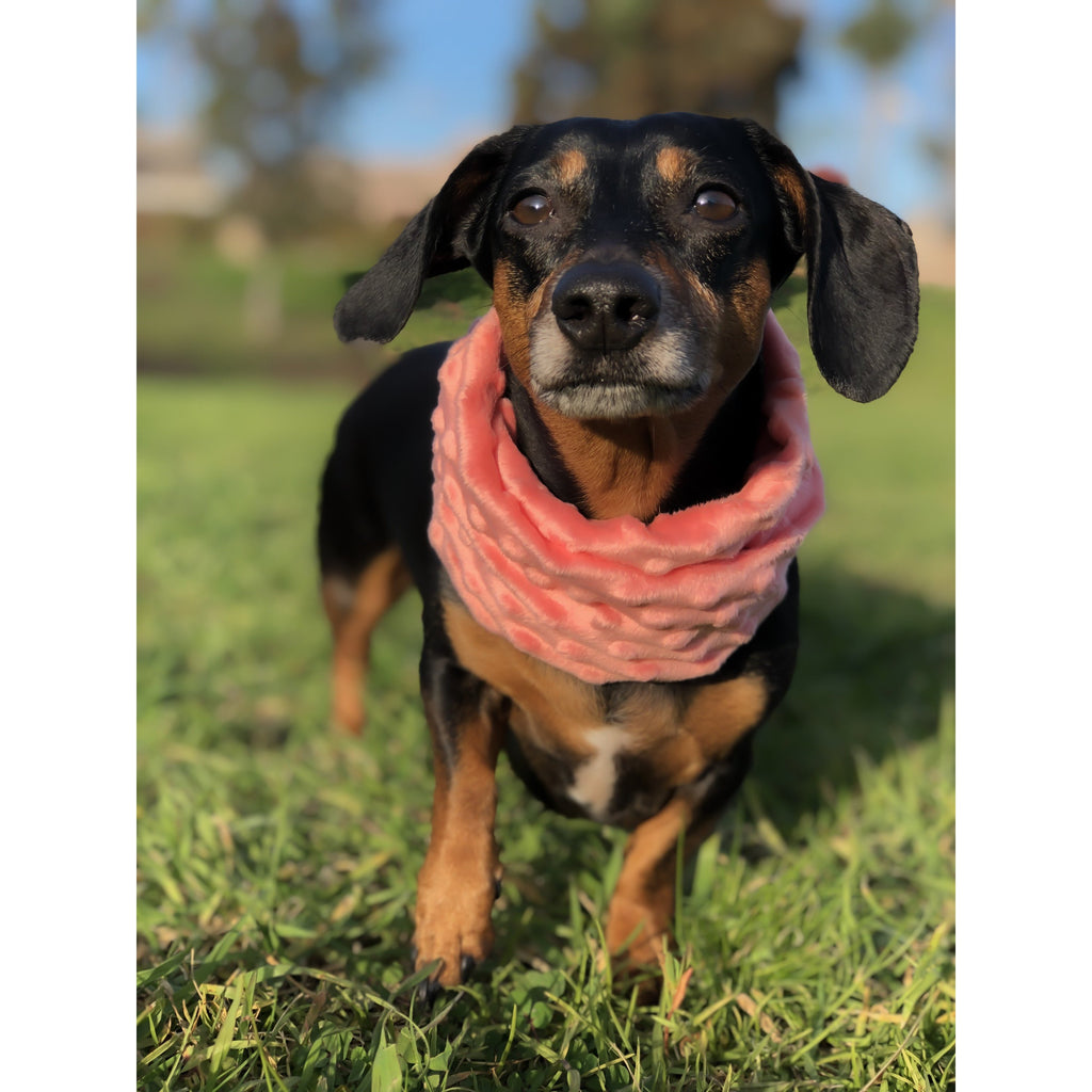 Matching Dog & Owner Faux Fur Scarf 