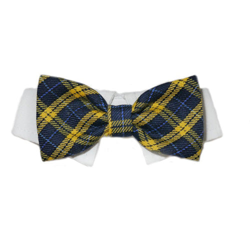Bruce Bow Tie Dog Collar – Blue