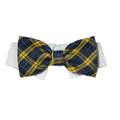 Bruce Bow Tie Dog Collar – Blue