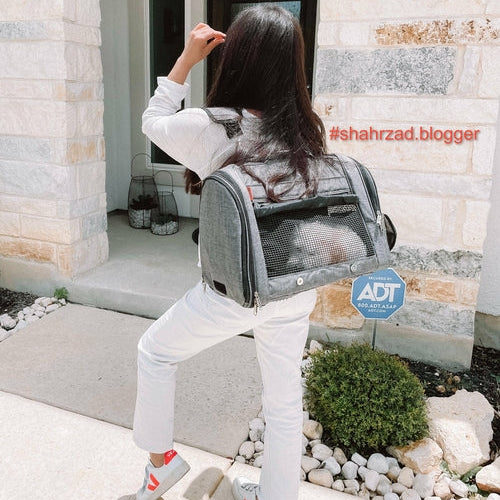 pet carrier