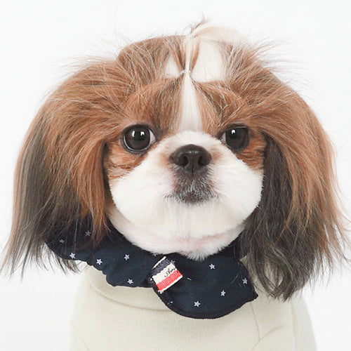 stylish pet scarf