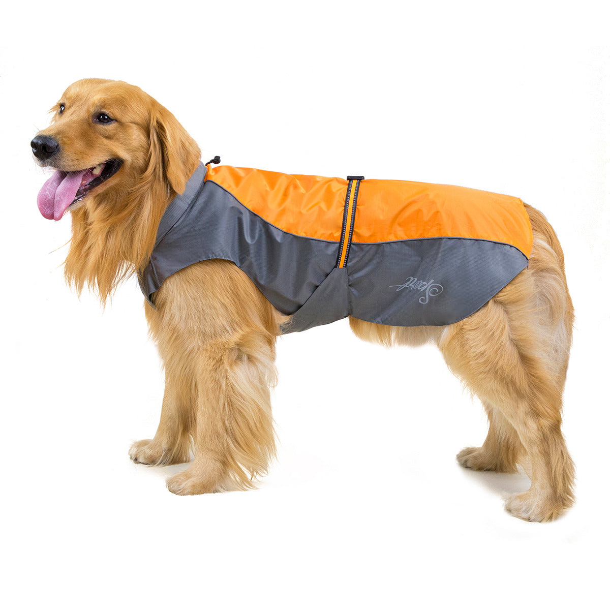 Dog wearing an orange and gray coat on a white background