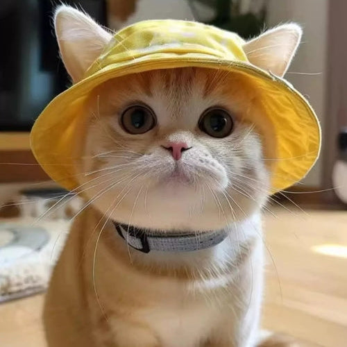Cat wearing a yellow hat indoors