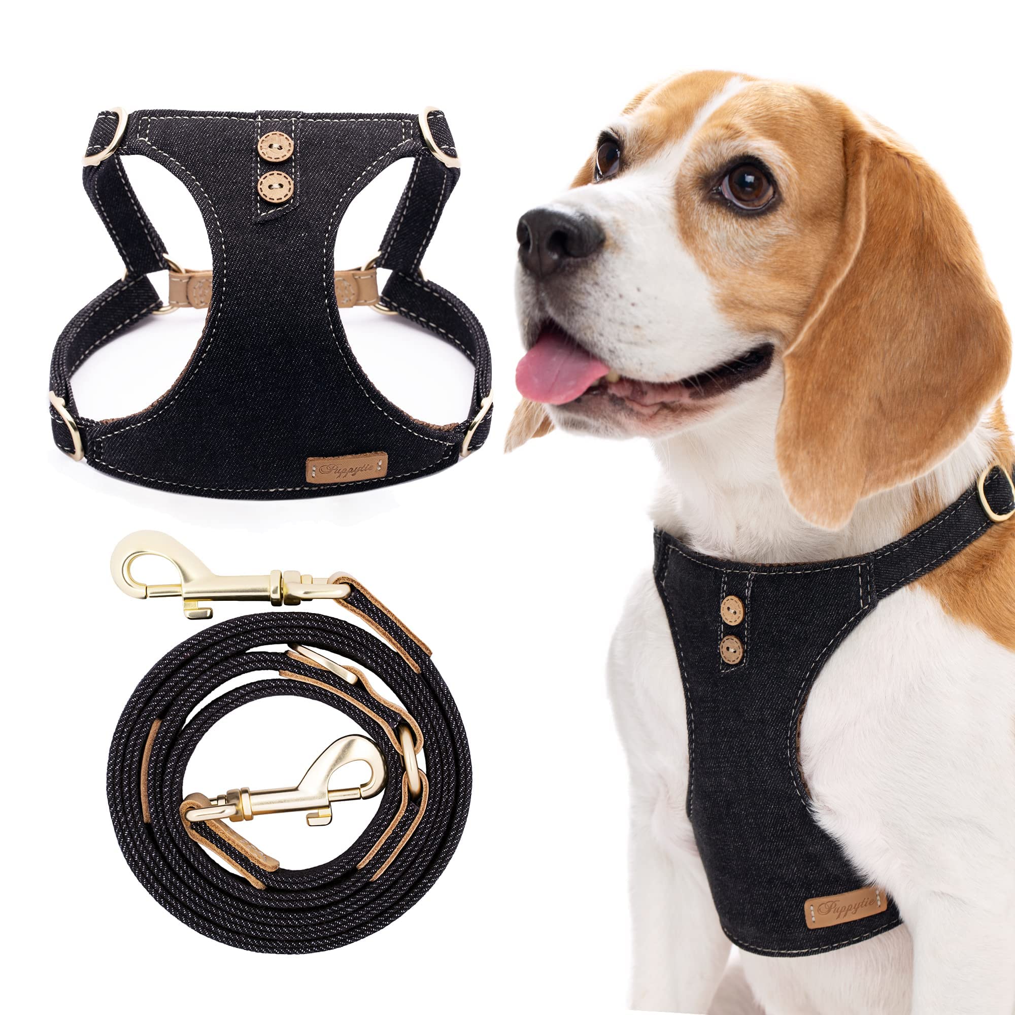 Dog harness and leash set with a dog wearing the harness on a white background